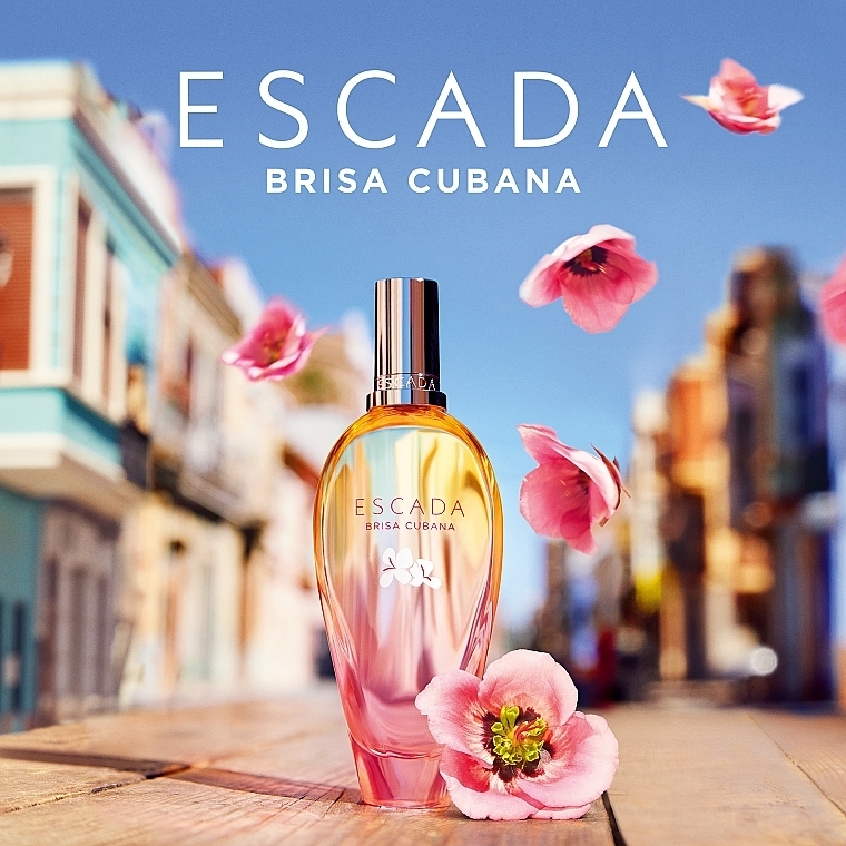 escada2